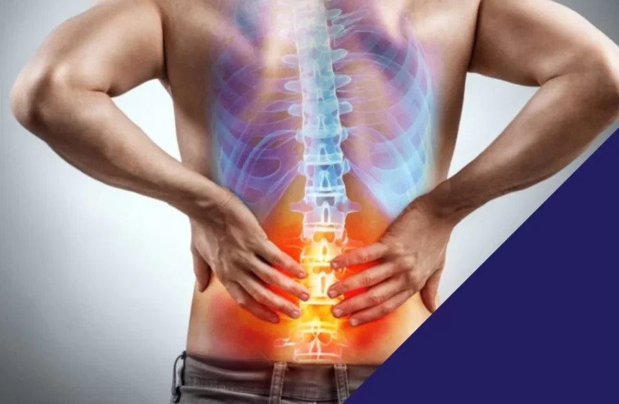 Исправна кичма – темељ здравог тела